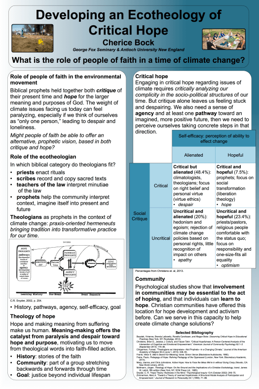 CBock_Critical Hope Poster