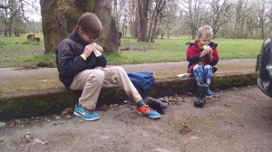 IMG_20160325_130008850