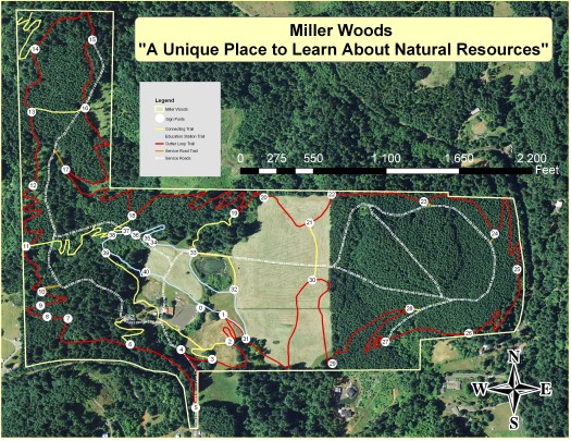 Miller Woods Trail Map