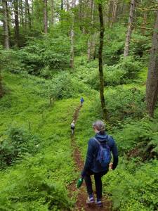 13221599_10206231403532101_4335090877003343046_n