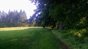 IMG_20160430_160520855