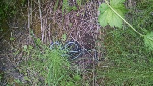 IMG_20160430_161302256