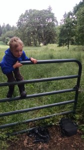 IMG_20160520_144651403