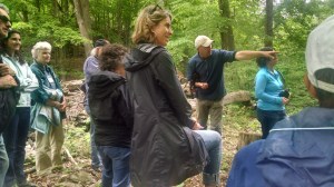 IMG_20160524_151713869_HDR