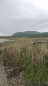 IMG_20160524_160900513