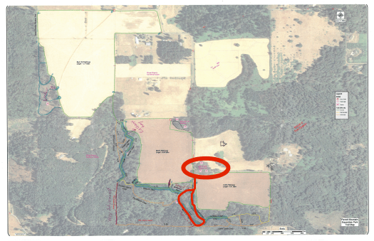 parrett_mt_horsetrails2