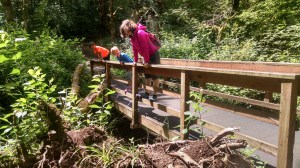 IMG_20160610_112829669_HDR