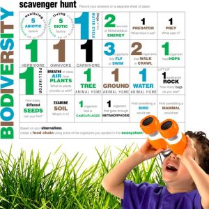 biodiversity scavenger hunt